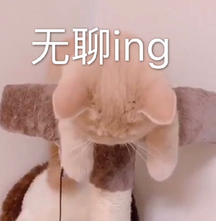 【每日话题】2-3 开工大吉,你2020年的心愿是什么?